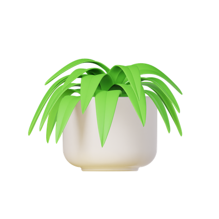 Planta araña  3D Icon