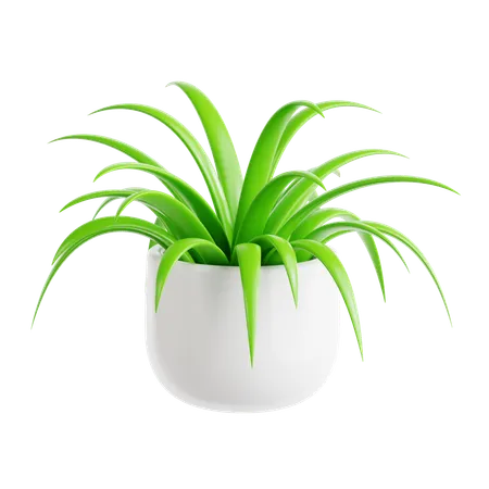 Planta araña  3D Icon