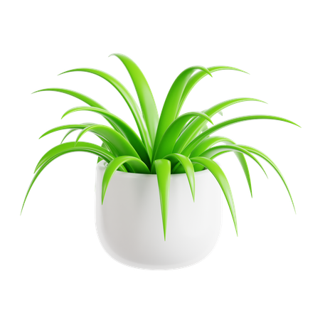 Planta aranha  3D Icon