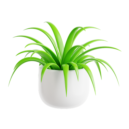 Planta aranha  3D Icon