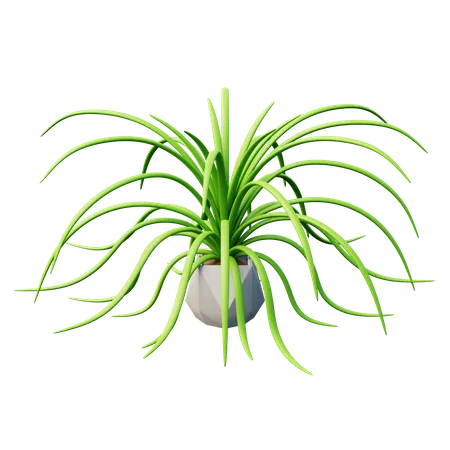 Planta aranha  3D Icon