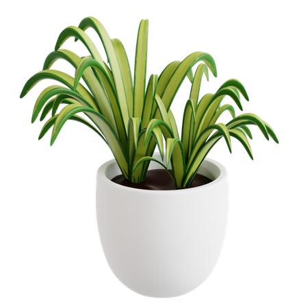 Planta aranha  3D Icon