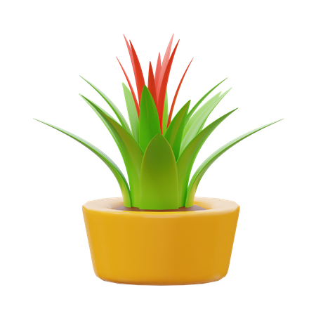 Planta bromelias  3D Icon