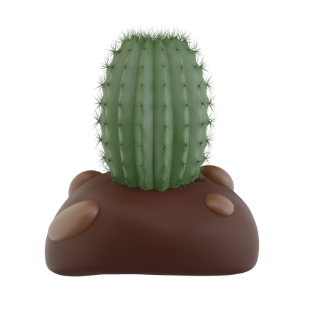 Planta de cacto  3D Icon