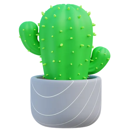 Planta de cactus  3D Icon