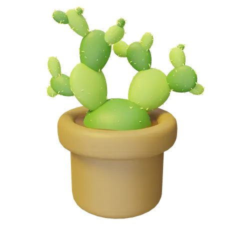 Planta de cactus  3D Illustration