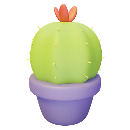 Planta de cactus  3D Illustration