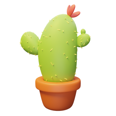 Planta de cactus  3D Illustration