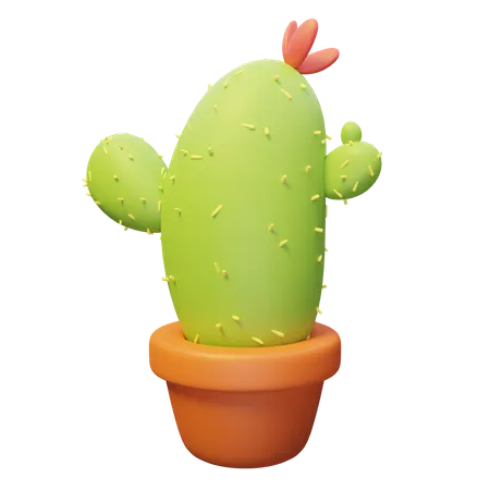 Planta de cactus  3D Illustration