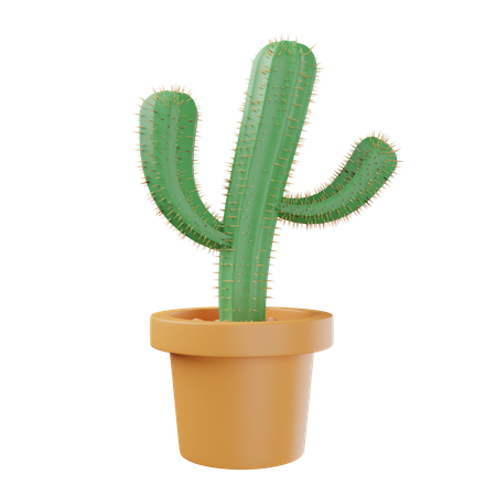 Planta de cactus  3D Illustration