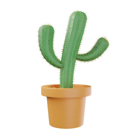 Planta de cactus  3D Illustration