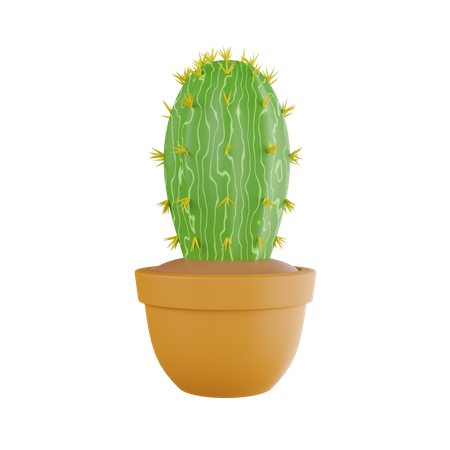 Planta de cactus  3D Icon