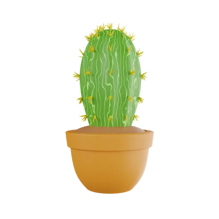 Planta de cactus  3D Icon