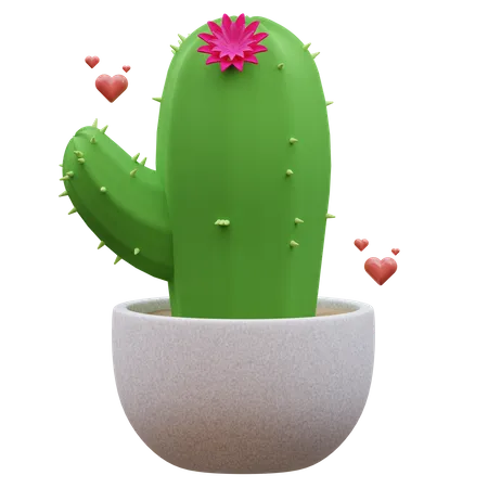 Planta de cactus  3D Icon