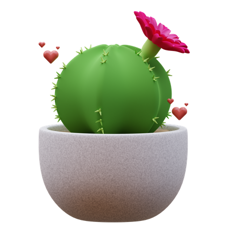 Planta de cactus  3D Icon