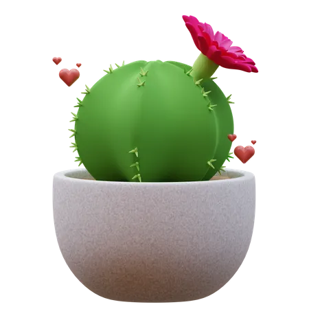 Planta de cactus  3D Icon