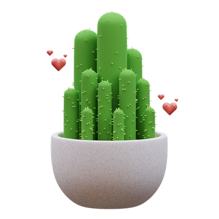 Planta de cactus  3D Icon