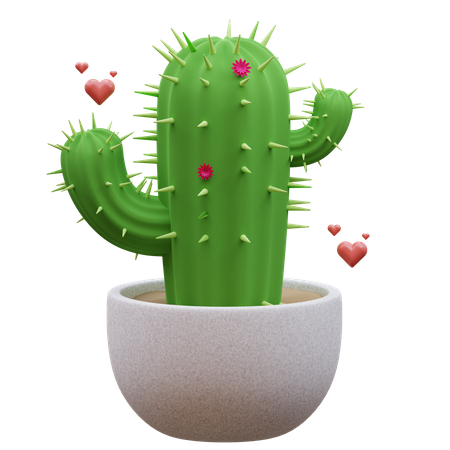 Planta de cactus  3D Icon