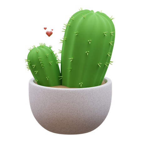 Planta de cactus  3D Icon