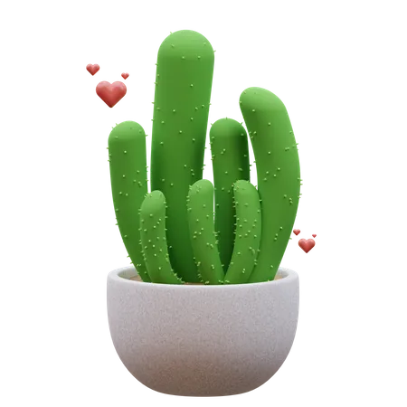 Planta de cactus  3D Icon