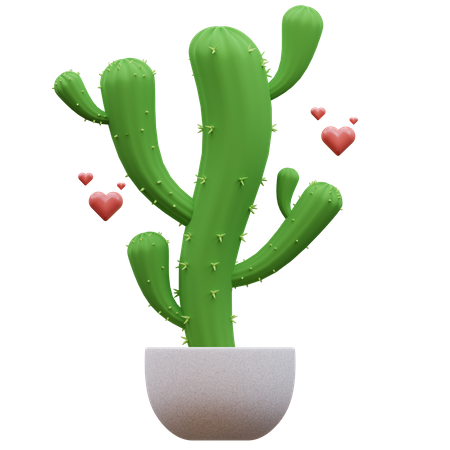 Planta de cactus  3D Icon