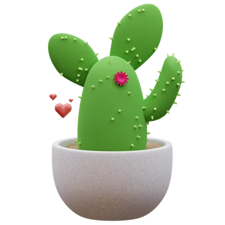 Planta de cactus  3D Icon