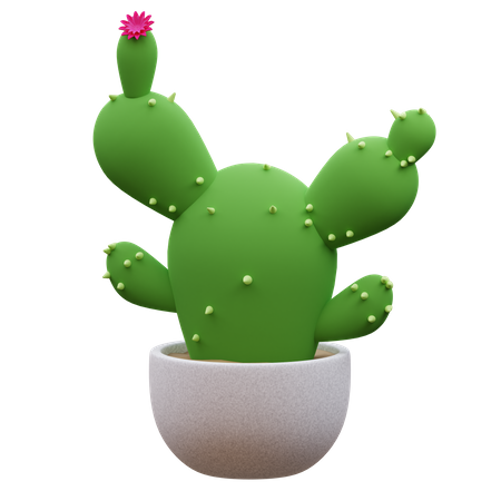 Planta de cactus  3D Icon