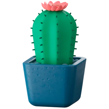 Planta de cactus  3D Icon