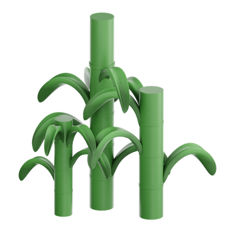 Planta de cana-de-açúcar 3D Icon