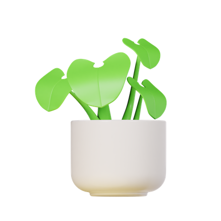 Planta ponta de flecha  3D Icon