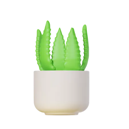 Planta de aloe vera  3D Icon