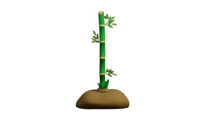 Planta de bambu  3D Icon