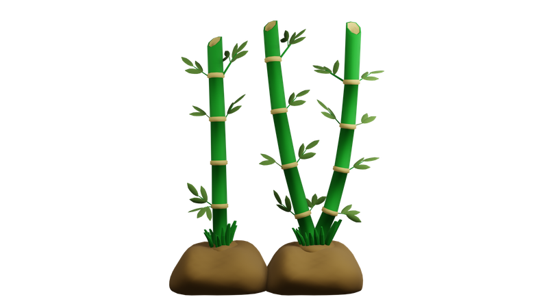 Planta de bambu  3D Icon