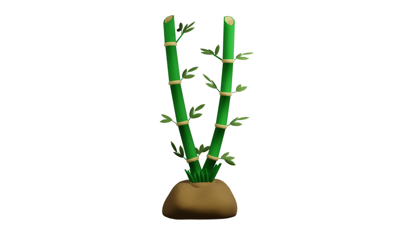 Planta de bambu  3D Icon