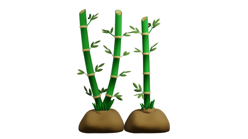 Planta de bambu  3D Icon