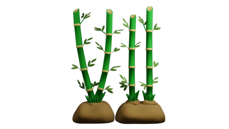 Planta de bambu  3D Icon