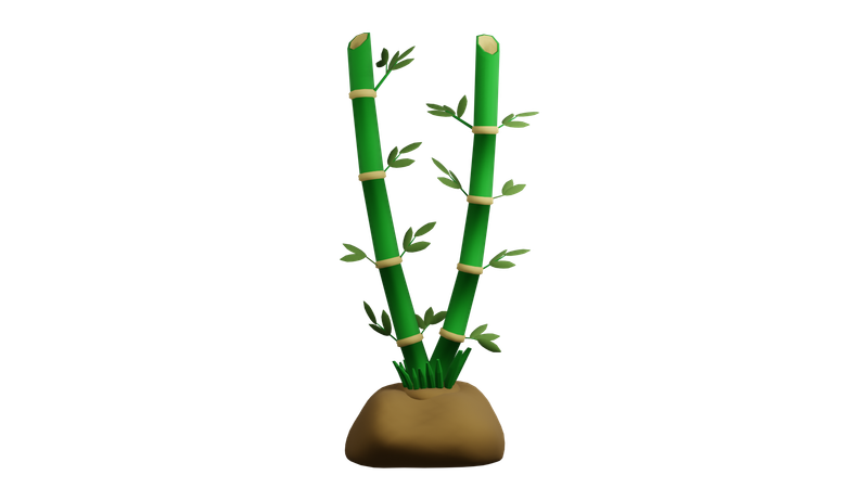 Planta de bambu  3D Icon