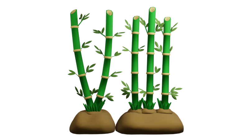 Planta de bambu  3D Icon