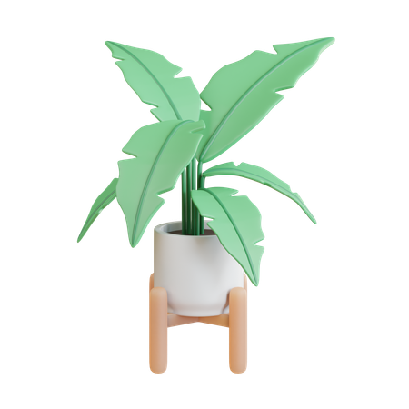 Planta de banano  3D Icon