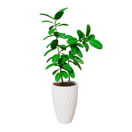 Planta da casa  3D Icon