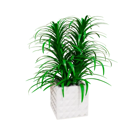 Planta da casa  3D Icon