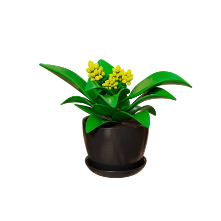 Planta de casa  3D Icon