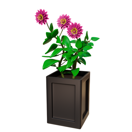 Planta da casa  3D Icon