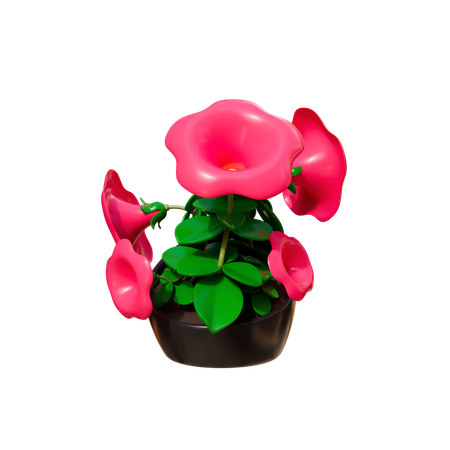 Planta da casa  3D Icon