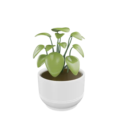 Planta da casa  3D Icon