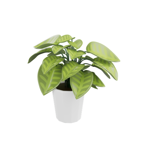 Planta da casa  3D Icon