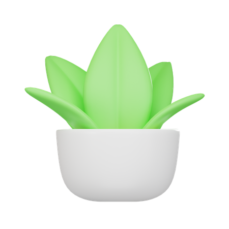 Planta baixa  3D Icon