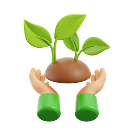 Planta de retenção  3D Icon