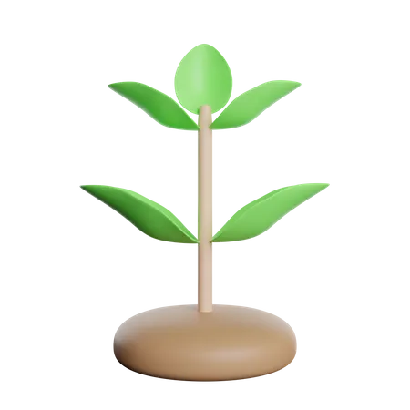 Planta de crecimiento  3D Icon