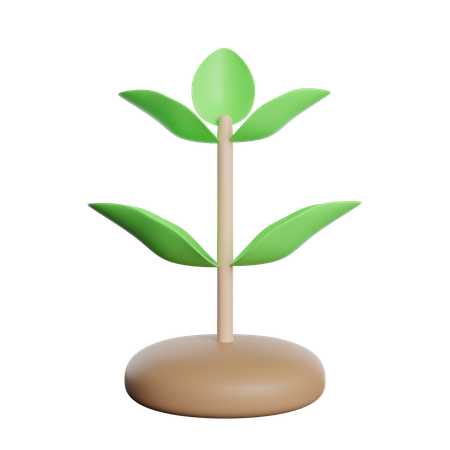 Planta de crescimento  3D Icon